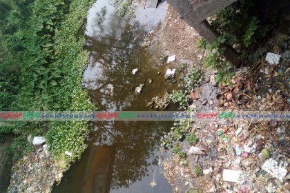 খরস্রোতা চিত্রা নদী এখন ময়লা-আবর্জনার ভাগাড়

