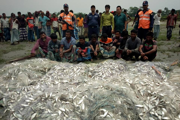 রায়পুরে ১৮ মণ জাটকাসহ ১০ জেলে আটক

