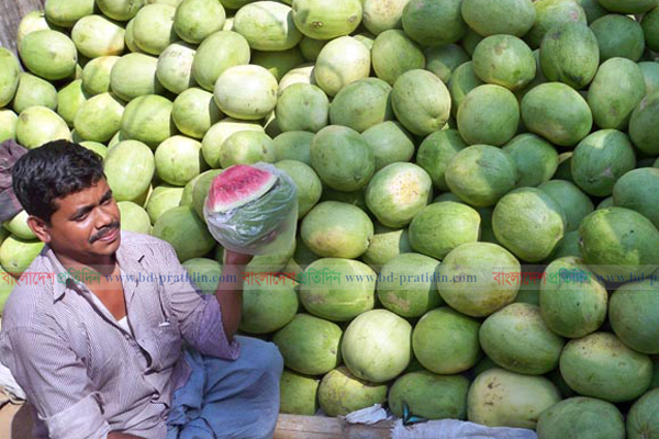 পাহাড়ে তরমুজের বাম্পার ফলন