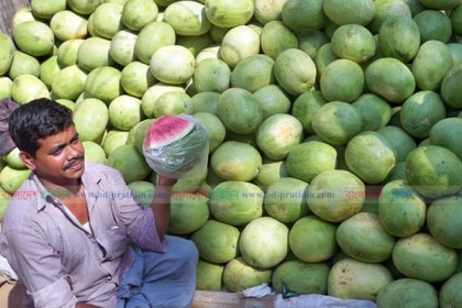 পাহাড়ে তরমুজের বাম্পার ফলন