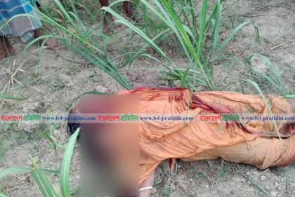 কালীগঞ্জে বৃদ্ধাকে কুপিয়ে হত্যা