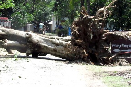 চাঁপাইনবাবগঞ্জে ৩০ হাজার বিঘা জমির ফসল নষ্ট