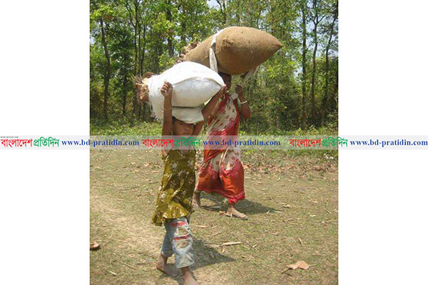 শুকনো পাতা কুড়িয়েই জীবন চলে তাদের
