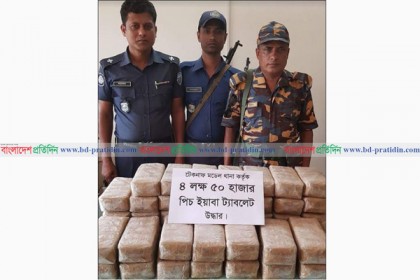 টেকনাফে পৃথক অভিযানে সাড়ে ৪ লাখ ইয়াবা উদ্ধার