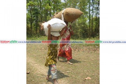 শুকনো পাতা কুড়িয়েই জীবন চলে তাদের
