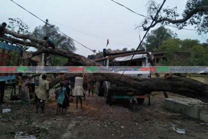 ভারতে ধূলিঝড়ে নিহতের সংখ্যা বেড়ে ৭৪

