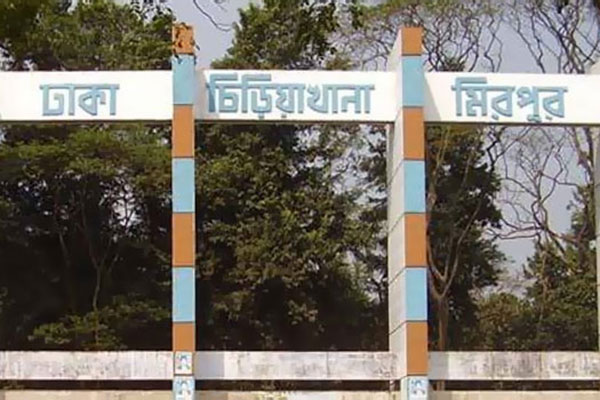 চিড়িয়াখানায় এল চার সিংহ, সাফারি পার্কে গেল দুই জলহস্তি