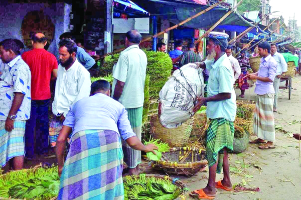 ফরাসিদের ছোট্ট গঞ্জ থেকে আজকের শ্যামবাজার