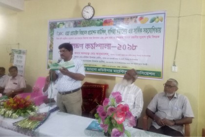 চাঁপাইনবাবগঞ্জে নিরাপদ আম উৎপাদন বিষয়ক কর্মশালা

