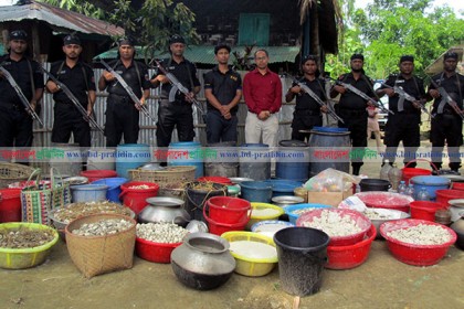 চকরিয়ায় ৬ চোলাই মদ তৈরির কারখানা জব্দ