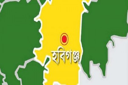 ধান কাটতে গিয়ে বজ্রপাতে ২ শ্রমিকের মৃত্যু