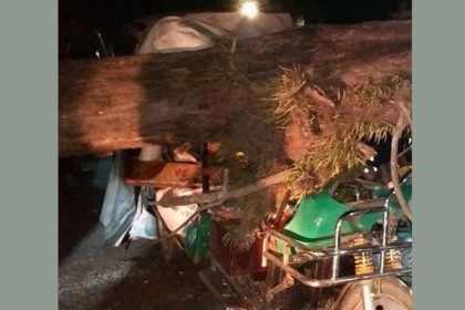 কক্সবাজারে ইজিবাইকের ওপর গাছ পড়ে আহত ৪