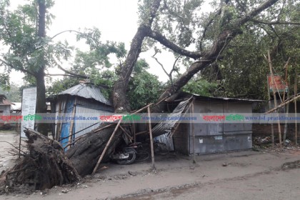 নীলফামারীতে ঘূর্ণিঝড়ে নিহত ৭, ঘরবাড়ি বিধ্বস্ত