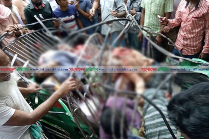 ময়মনসিংহে সড়ক দুর্ঘটনায় নিহত ৬