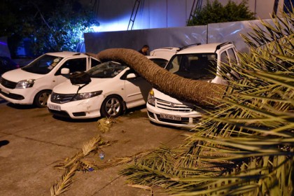 ভারতে বজ্রসহ বৃষ্টিপাত ও ধূলি ঝড়ে নিহত ৪০