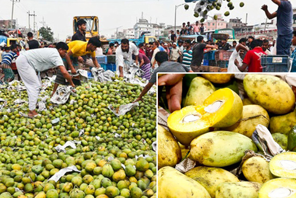 মিরপুরে ১১০০ মণ আম ধ্বংস, ৬ জনকে কারাদণ্ড
