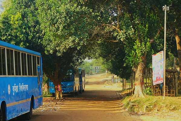 দেড় মাসের ছুটিতে কুবি