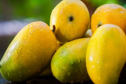 ফরমালিনমুক্ত আম চেনার উপায়