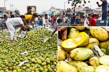 মিরপুরে ১১০০ মণ আম ধ্বংস, ৬ জনকে কারাদণ্ড