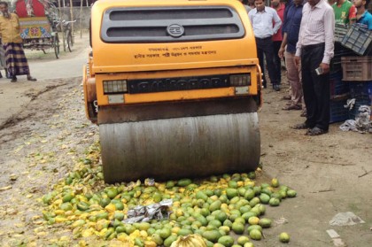 ফরিদপুরে ১০ মণ আম বিনষ্ট