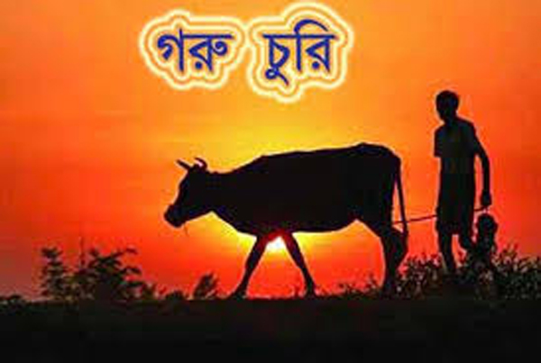 বিশ্বনাথে গরু চোর আতঙ্ক, টাকা দিলেই মিলছে গরু!