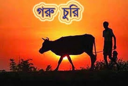 বিশ্বনাথে গরু চোর আতঙ্ক, টাকা দিলেই মিলছে গরু!