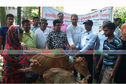 বরিশালে ৪৪টি হতদরিদ্র পরিবারকে গাভী প্রদান