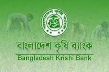 ডুবছে কৃষি ব্যাংক