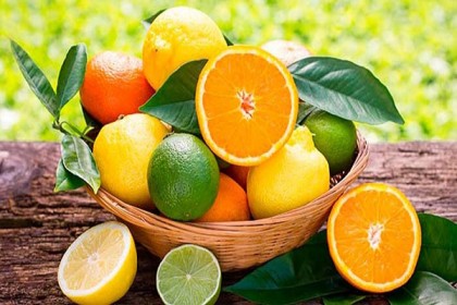 কিডনিতে পাথর হওয়া প্রতিরোধ করে যেসব ফলের রস