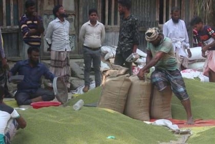 ভোলার মুগডাল জাপান যাচ্ছে