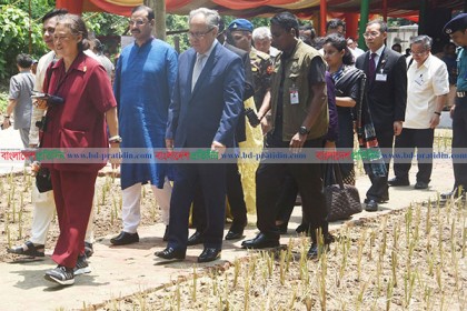 চট্টগ্রামে পাহাড় রক্ষায় বিন্না ঘাস লাগালেন থাইকন্যা  