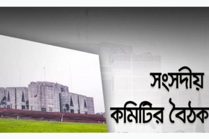 ‘সতর্কভাবে’ মাদকবিরোধী অভিযানের সুপারিশ সংসদীয় কমিটির