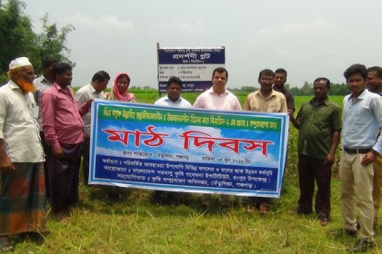 পঞ্চগড়ে নতুন জাতের তিলের প্রচারে মাঠ দিবস অনুষ্ঠিত 
