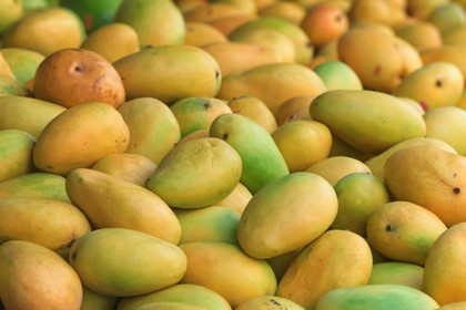 ফরমালিনমুক্ত আম চেনার উপায়