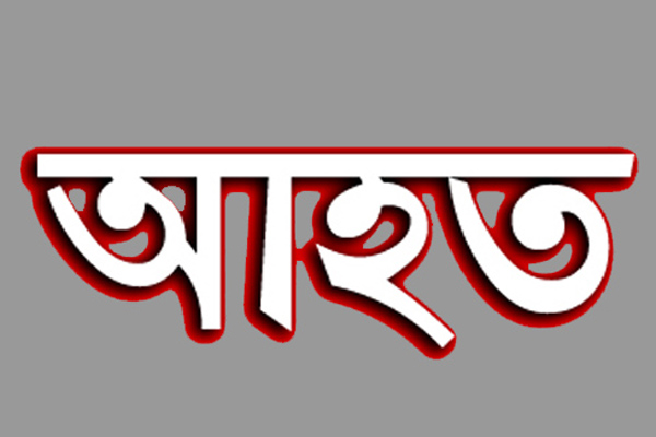 ফুলপুরে বাসের ধাক্কায় তৃতীয় শ্রেণীর ছাত্রী আহত