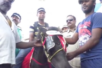 ঘোড়ার পিঠে চড়িয়ে ‘শিক্ষা’!