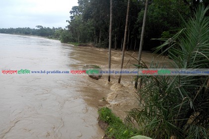 মনু ও ধলাই নদীর বাঁধ ভেঙে ১০ গ্রাম প্লাবিত, পানিবন্দী হাজারো মানুষ
