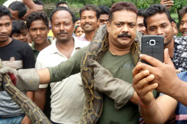 অজগরের সঙ্গে সেলফির আবদার গ্রামবাসীর, অতঃপর...! (ভিডিও)