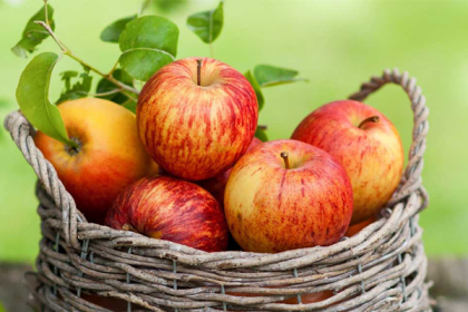 ক্যান্সার প্রতিরোধ করে আপেল