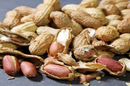 বাদামের বহুমাত্রিক গুণাগুণ
