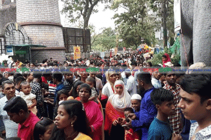 চট্টগ্রাম চিড়িয়াখানায় চারদিনে ৫৮ হাজার দর্শক