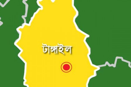 নরসিংদীতে ২ মাইক্রোবাসের মুখোমুখি সংঘর্ষে আহত ১১