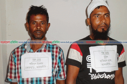 বগুড়ায় চোরাই গরুসহ দুই চোর গ্রেফতার