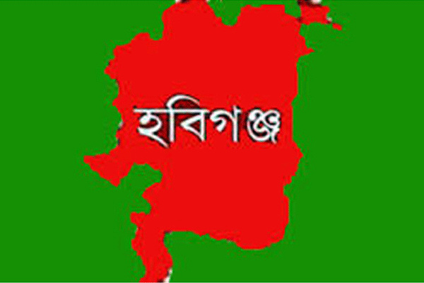আজমিরীগঞ্জ উপজেলা পরিষদের উপ-নির্বাচনে ৪ প্রার্থীর মনোনয়নপত্র দাখিল
