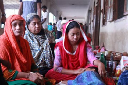 মাগুরায় পাগলা কুকুরের কামড়ে শিশুসহ আহত ১০