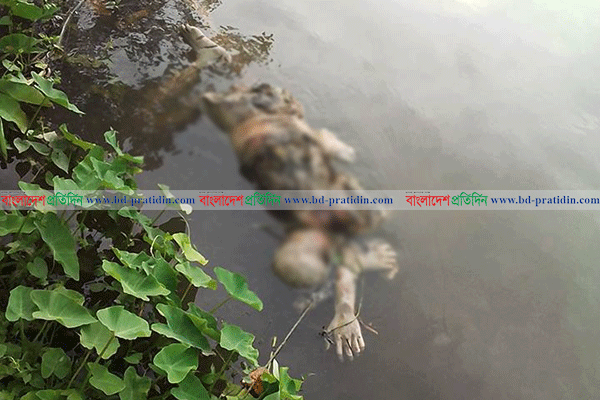 নোয়াখালীতে স্বামীকে পিটিয়ে হত্যা, ৫ দিন পর খাল থেকে লাশ উদ্ধার