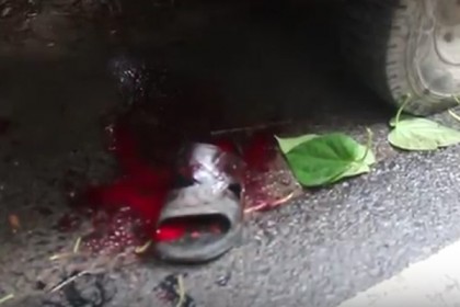 ঝিনাইদহে বাস ও নসিমনের সংঘর্ষে ৩ পান ব্যবসায়ী নিহত