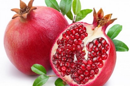 ডালিমের বিচি ব্যাকটেরিয়া প্রতিরোধী!