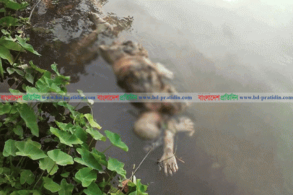 নোয়াখালীতে স্বামীকে পিটিয়ে হত্যা, ৫ দিন পর খাল থেকে লাশ উদ্ধার