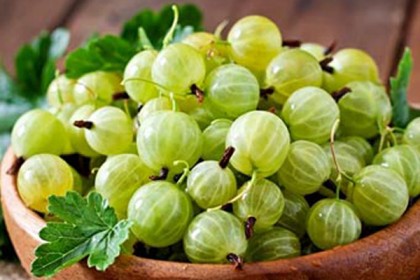 আমলকির রস কোষ্ঠকাঠিন্য দূর করে! 